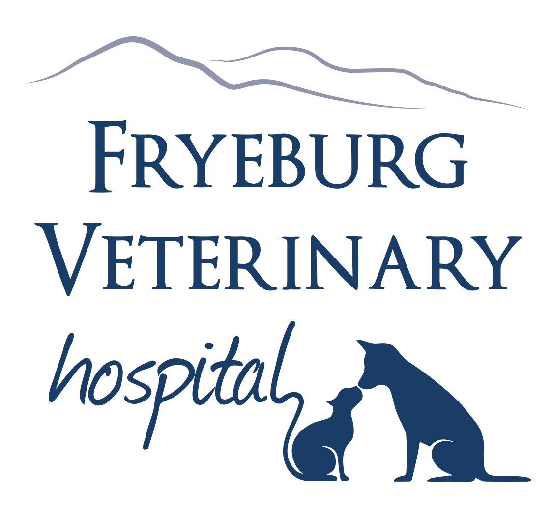 Fryeburg Veterinary Hospital